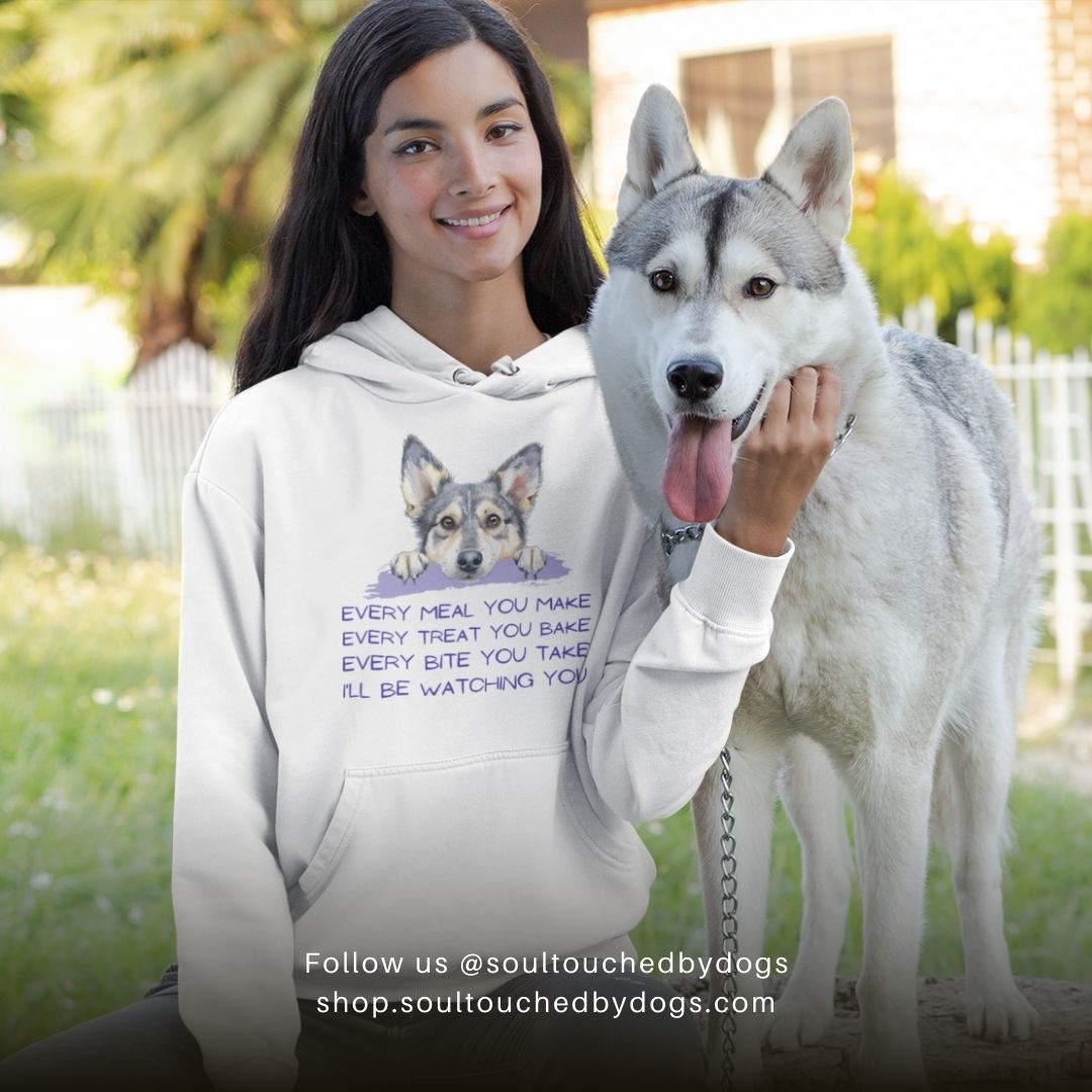 Classic Unisex Pullover Hoodie | I'll Be Watching You